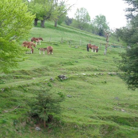 Pensjonat Casa Rural Alustiza Villabona Zewnętrze zdjęcie